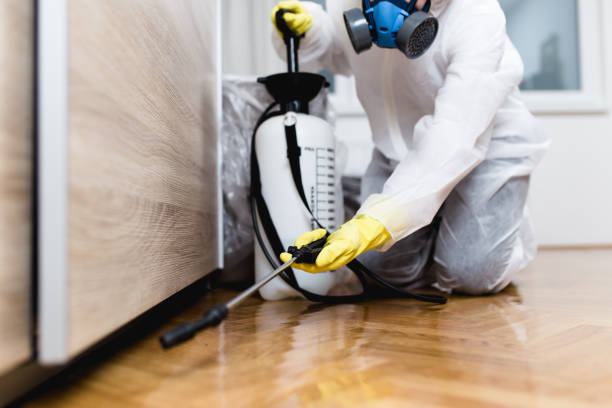Best Mosquito Control Services  in Diberville, MS
