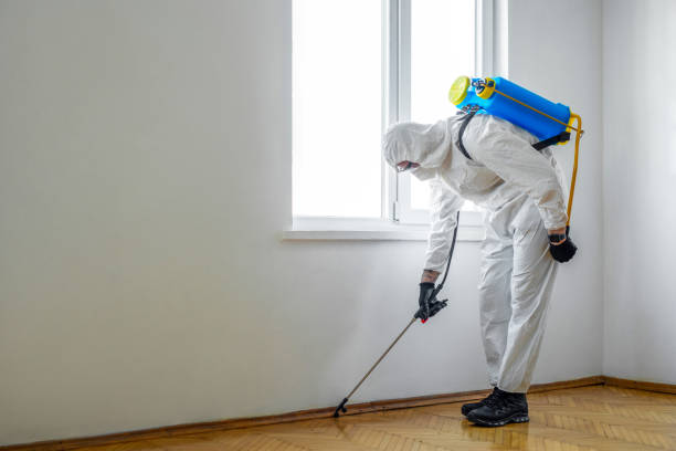 Best Insect Control  in Diberville, MS