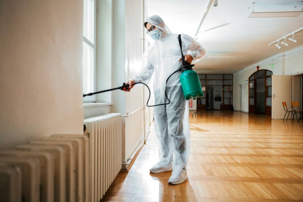 Best Wildlife Control Services  in Diberville, MS