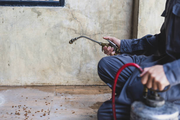 Best Pest Inspection Near Me  in Diberville, MS